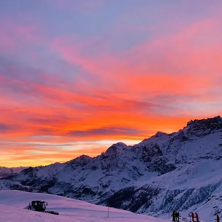 White House Cretax *