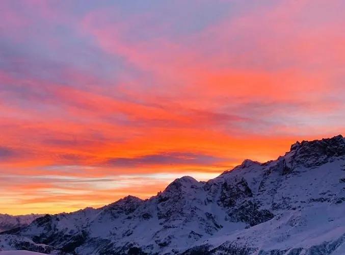 White House Cretax *